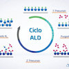 CICLO ALD